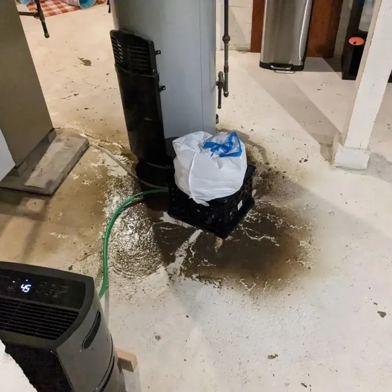 Sewage Backup Cleanup Service in Jonestown, PA